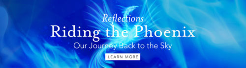 Reflections: Riding the Phoenix
