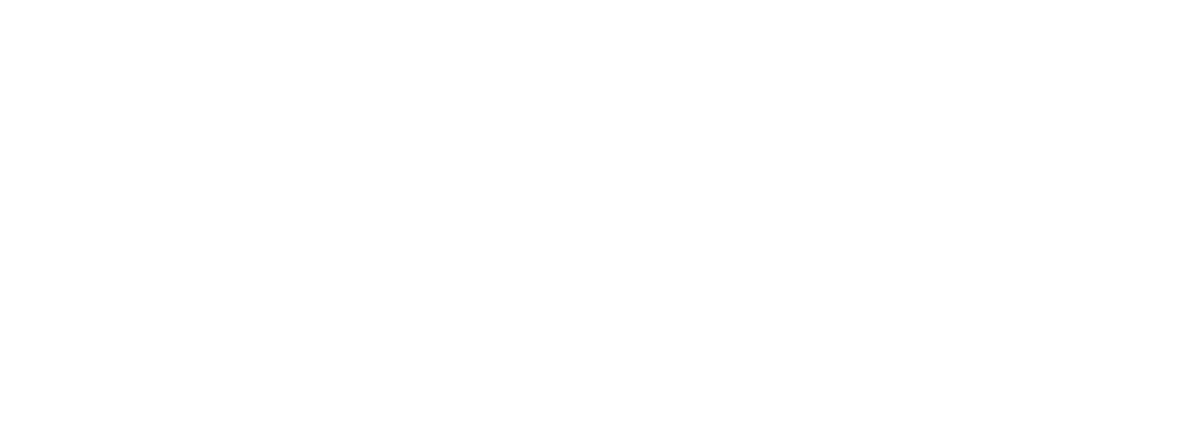Reflections Online Institute - Logo