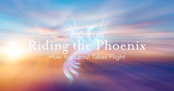 Riding the Phoenix Part III - How Your Soul Takes Flight