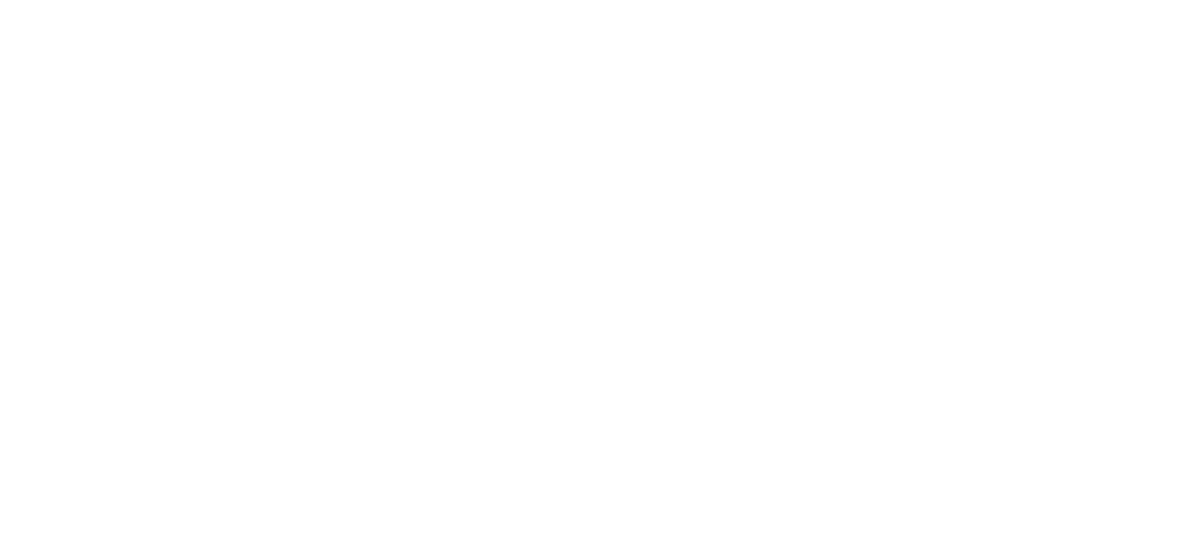 Reflections - Spiritual Madness