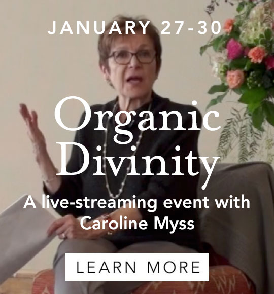 Organic Divinity: The Power of the Sacred in You and Nature