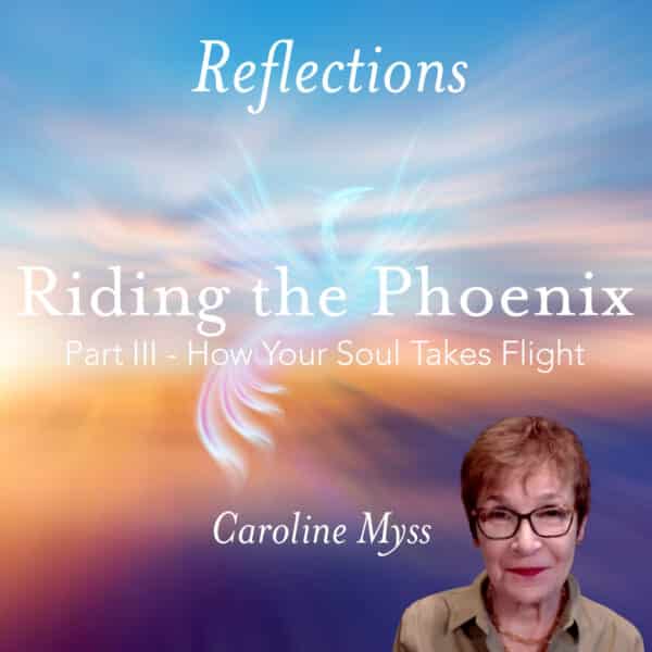 Reflections: Riding the Phoenix Part 3 - Caroline Myss